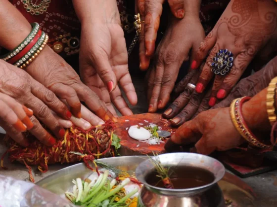 Cultural diversity, communication, and the creative ecosystem