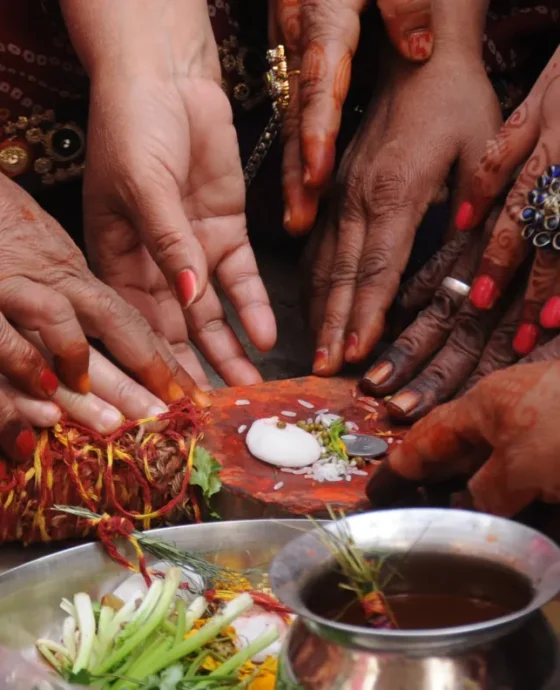 Cultural diversity, communication, and the creative ecosystem
