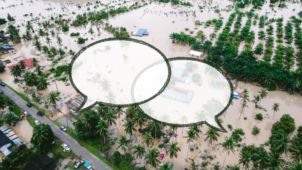 Why Disaster-Related Language Matters