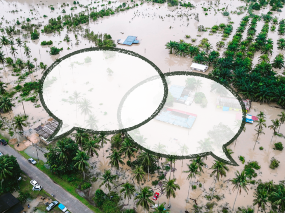 Why Disaster-Related Language Matters