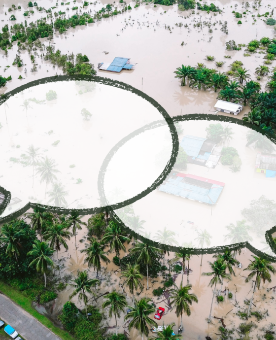 Why Disaster-Related Language Matters